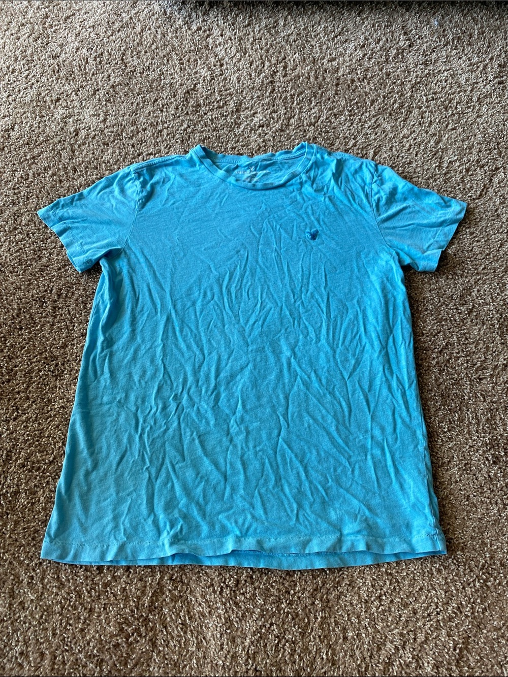 American Eagle Outfitters Turquoise Crew Neck Tee